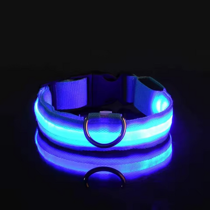 LumiLeash - Lichtgevende Halsband