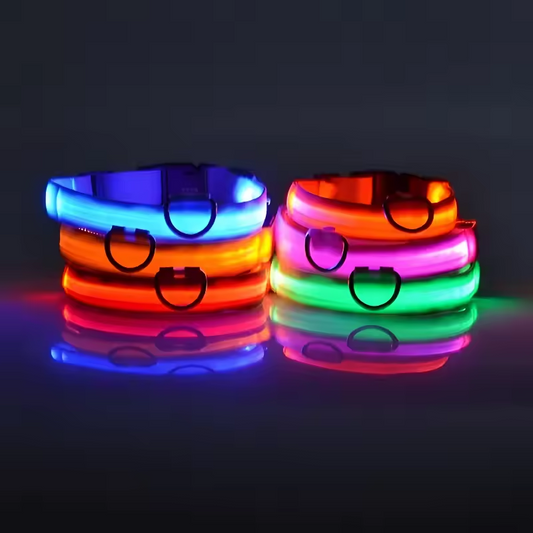 LumiLeash - Lichtgevende Halsband