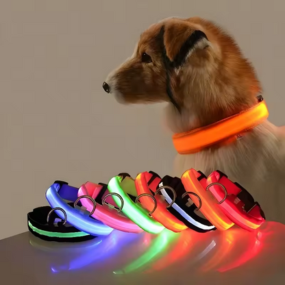 LumiLeash - Lichtgevende Halsband